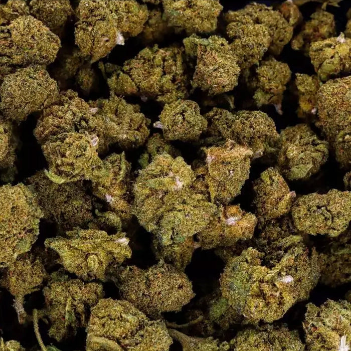 Small Buds CBD Mango