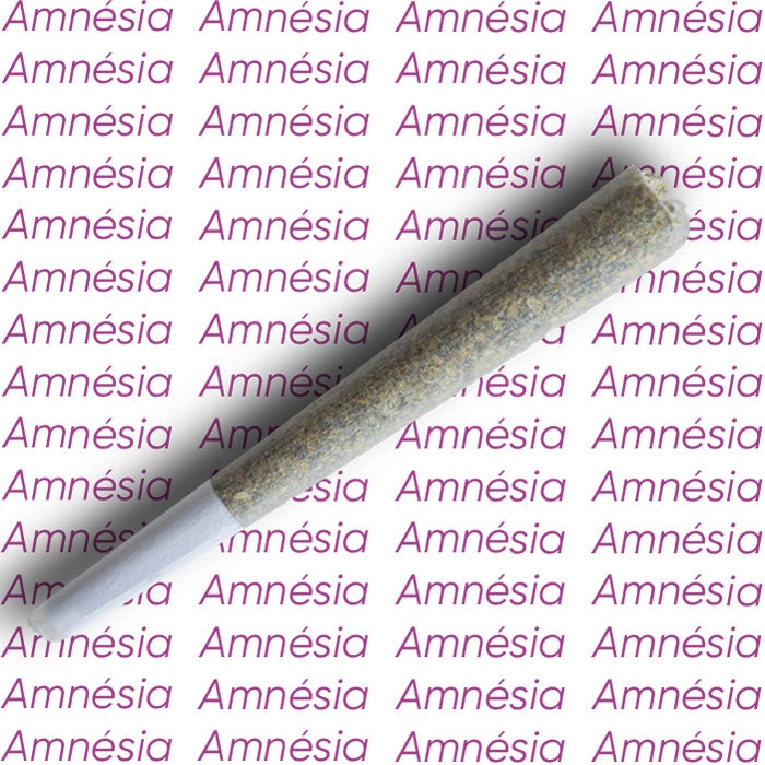 Pré-Rolls CBD Amnésia