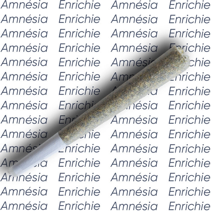 Pré-Rolls Amnésia enrichie en Cannabinoides