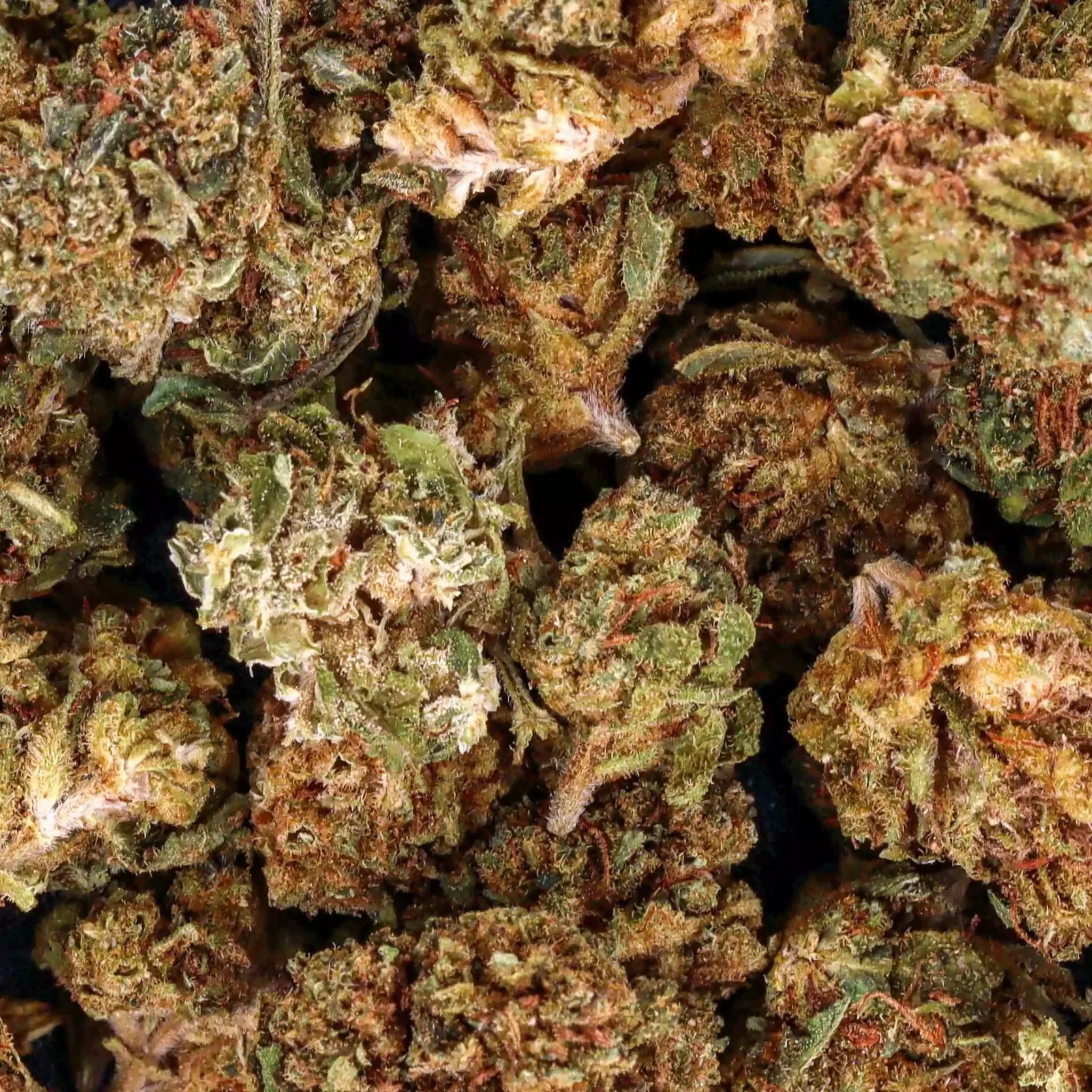 Small Buds CBD Sweet Berry