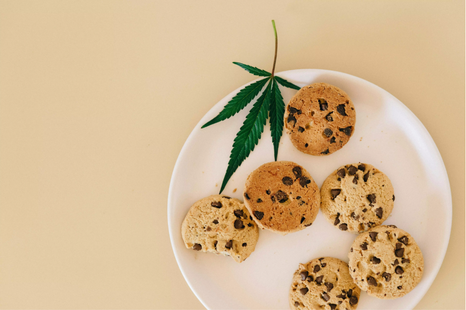 CBD et alimentation équilibrée