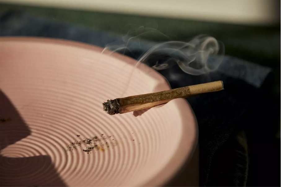 Les différences entre les CBD